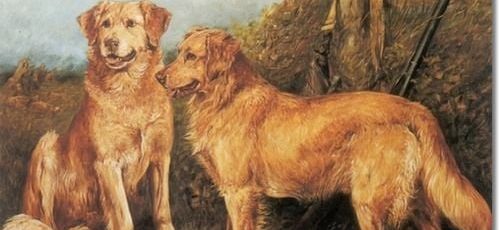 Golden Retrievers 1898 by John Emms 30 years after the first cross and foundation of the breed by Sir Dudley Marjoribanks.
se link https://en.wikipedia.org/wiki/Dudley_Marjoribanks,_1st_Baron_Tweedmouth